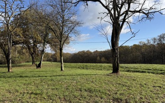 Gascon Stone House To Restore With Barn On A Large Wooded Plot