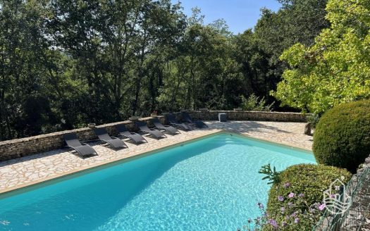 Characterful Stone House With Gite And Swimming Pool In A Quiet Setting – Saint-Cyprien
