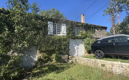 Characterful Stone House With Gite And Swimming Pool In A Quiet Setting – Saint-Cyprien