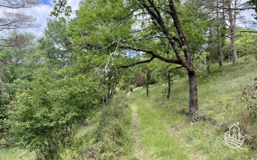 Beautiful Stone House Set On 11 Hectares Of Woodland And Meadow In A Hamlet